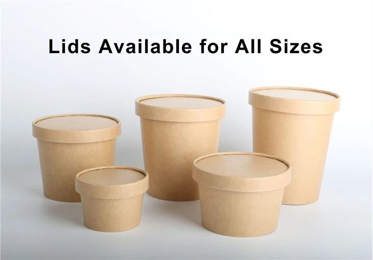 26oz Disposable Ice Cream Bowls With Lids